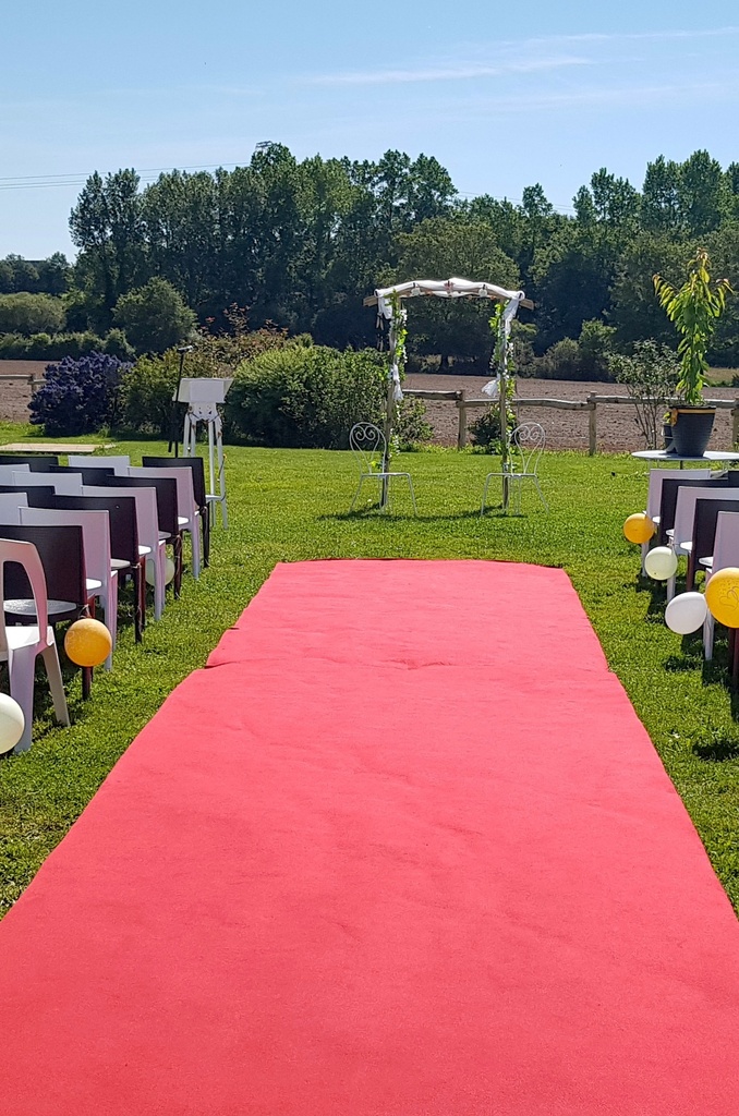 Tapis d'Allée Rouge 2m x 10m