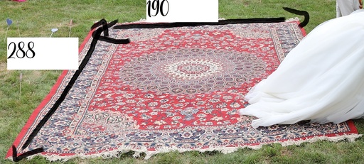 Tapis Vintage Style Bohème (290 x 190 cm)